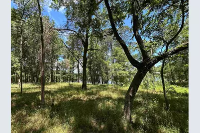 Lot Tr 5B Stevenson Rd, Frankston, TX 75763 - Photo 25
