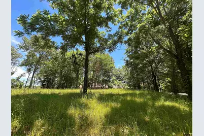 Lot Tr 5B Stevenson Rd, Frankston, TX 75763 - Photo 5
