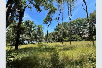 Lot Tr 5B Stevenson Rd, Frankston, TX 75763 - Photo 23