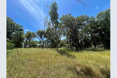 Lot Tr 5B Stevenson Rd, Frankston, TX 75763 - Photo 11
