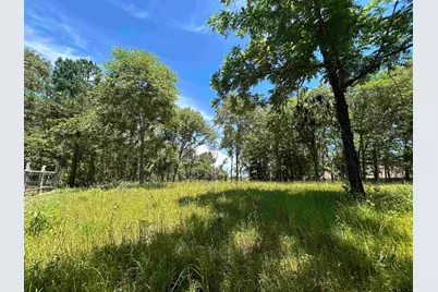 Lot Tr 5B Stevenson Rd, Frankston, TX 75763 - Photo 35