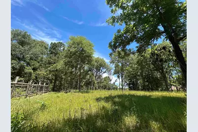 Lot Tr 5B Stevenson Rd, Frankston, TX 75763 - Photo 17