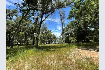 Lot Tr 5B Stevenson Rd, Frankston, TX 75763 - Photo 21