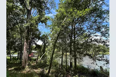 Lot Tr 5B Stevenson Rd, Frankston, TX 75763 - Photo 19