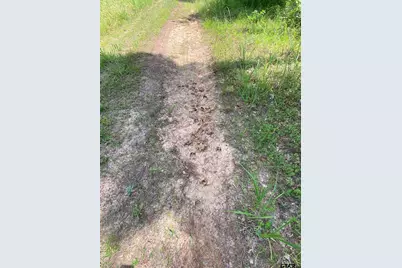 000 Cr 2218, Rusk, TX 75785 - Photo 7