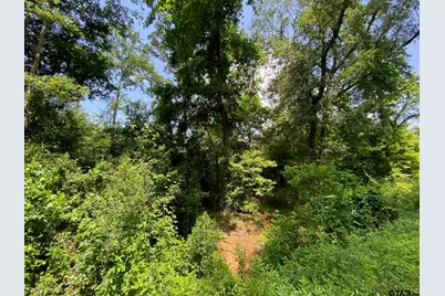 000 Cr 2218, Rusk, TX 75785 - Photo 3