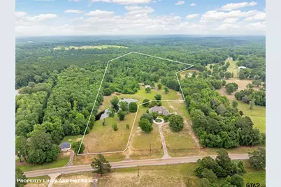 Tbd Fm 2419, Palestine, TX 75801 - Photo 1