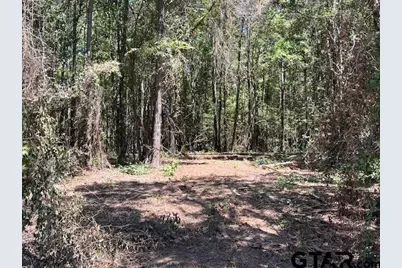 Fm 1519 Cr 3322, Pittsburg, TX 75686 - Photo 3