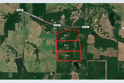 Tract 1 Tbd Vzcr 1507, Grand Saline, TX 75140 - Photo 3