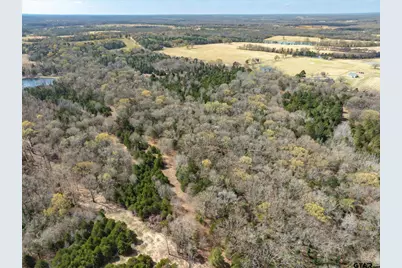 Tract 1 Tbd Vzcr 1507, Grand Saline, TX 75140 - Photo 11