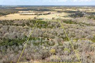 Tract 2 Tbd Vzcr 1507, Grand Saline, TX 75140 - Photo 1