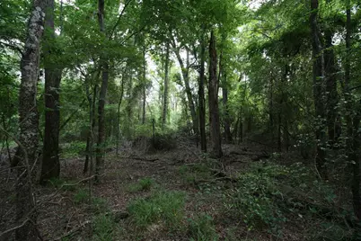 Tract 3 Tbd Vzcr 1507, Grand Saline, TX 75140 - Photo 15