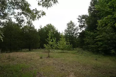 Tract 3 Tbd Vzcr 1507, Grand Saline, TX 75140 - Photo 23