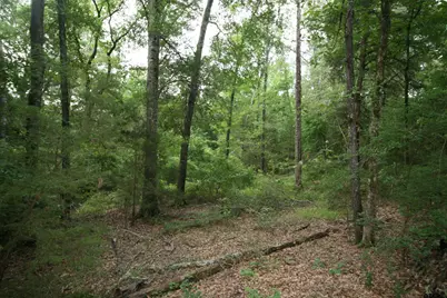 Tract 3 Tbd Vzcr 1507, Grand Saline, TX 75140 - Photo 19