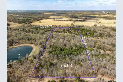 Tract 3 Tbd Vzcr 1507, Grand Saline, TX 75140 - Photo 1