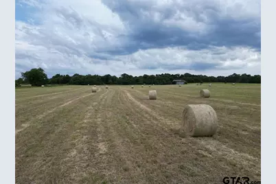 Tract 1 Cr 2330, Mineola, TX 75773 - Photo 9