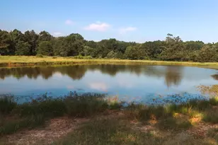 6952 FM 1990, Palestine, TX 75801 - Photo 29
