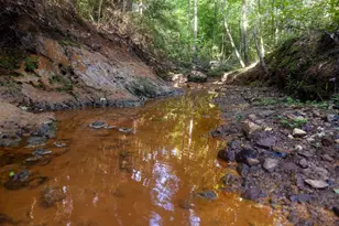 6952 FM 1990, Palestine, TX 75801 - Photo 27