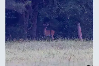 6952 Fm 1990, Palestine, TX 75801 - Photo 33