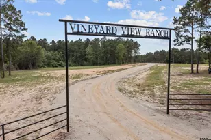656 Vineyard View Ranch, Grapeland, TX 75844 - Photo 29