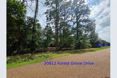 20812 Forest Grove Drive, Chandler, TX 75758 - Photo 3