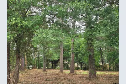 20812 Forest Grove Drive, Chandler, TX 75758 - Photo 11