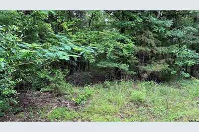 Tbd County Road 1418, Quitman, TX 75783 - Photo 7
