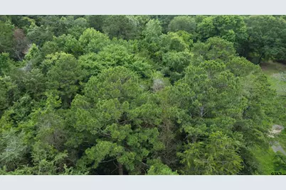 Tbd County Road 1418, Quitman, TX 75783 - Photo 11