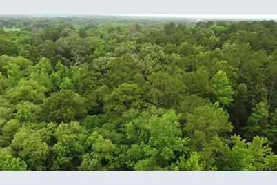 Tbd County Road 1418, Quitman, TX 75783 - Photo 9