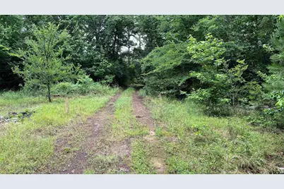 Tbd County Road 1418, Quitman, TX 75783 - Photo 17