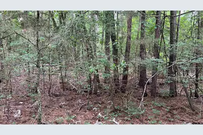 Tbd County Road 1418, Quitman, TX 75783 - Photo 15