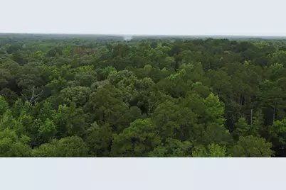Tbd County Road 1418, Quitman, TX 75783 - Photo 13
