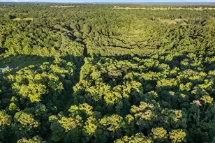 812 Crescent Dr, Bullard, TX 75757 - Photo 7