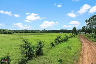Tbd Cr 1816, Jacksonville, TX 75766 - Photo 1