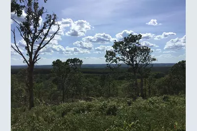 Tbd Cr 1816, Jacksonville, TX 75766 - Photo 13