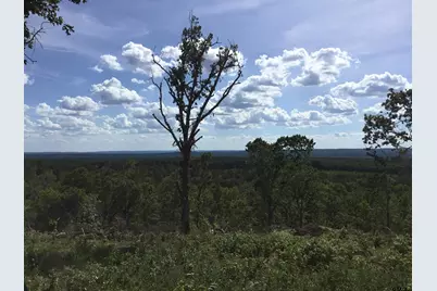 Tbd Cr 1816, Jacksonville, TX 75766 - Photo 11