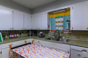 551 FM 2911, Big Sandy, TX 75755 - Photo 15