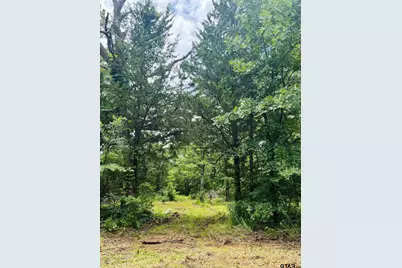 950 Vz County Road 1919, Fruitvale, TX 75127 - Photo 5