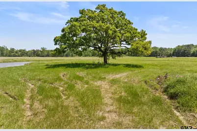 Lot A Cr 3324, Pittsburg, TX 75686 - Photo 1