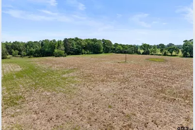 Lot B Cr 3324, Pittsburg, TX 75686 - Photo 3