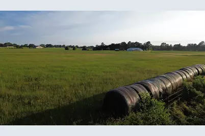 7720 Fm 317, Athens, TX 75752 - Photo 11