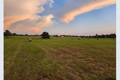 7720 Fm 317, Athens, TX 75752 - Photo 1