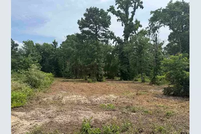 3162 Shadow Pine Dr, LaRue, TX 75770 - Photo 3