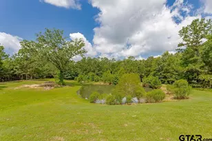 636 W Roberson Rd, Hallsville, TX 75650 - Photo 45