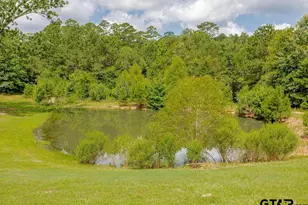 636 W Roberson Rd, Hallsville, TX 75650 - Photo 43