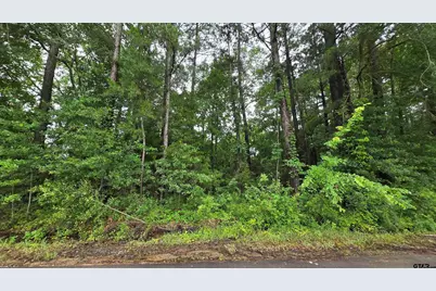 169 Chelsea Ln., Bullard, TX 75757 - Photo 1