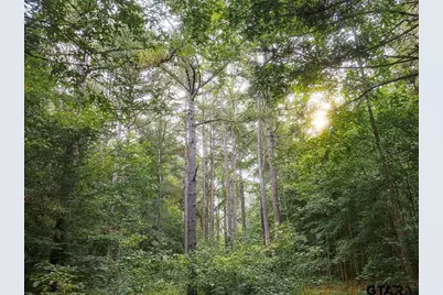 951 County Road 4414, Jacksonville, TX 75766 - Photo 33