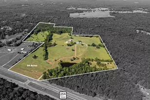 5989 Hwy 259, Diana, TX 75640 - Photo 33