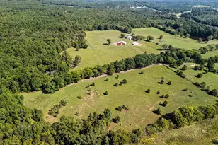 5989 Hwy 259, Diana, TX 75640 - Photo 39