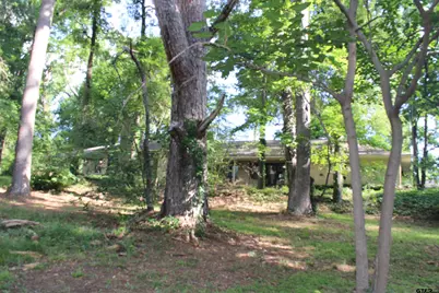 20312 S Highway  69, Tyler, TX 75703 - Photo 5